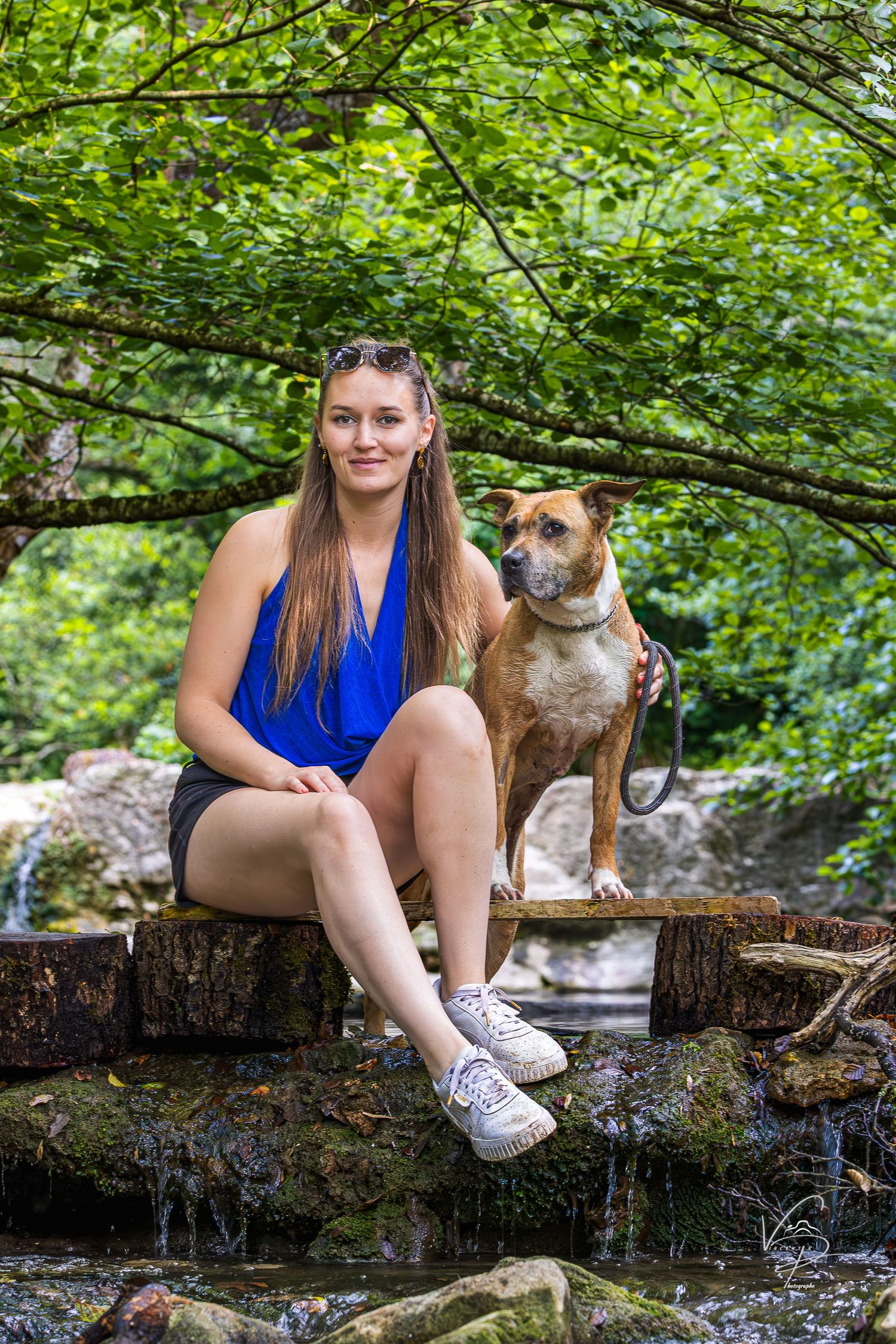 Dog and person sitting on mossy log in lush green forest setting.