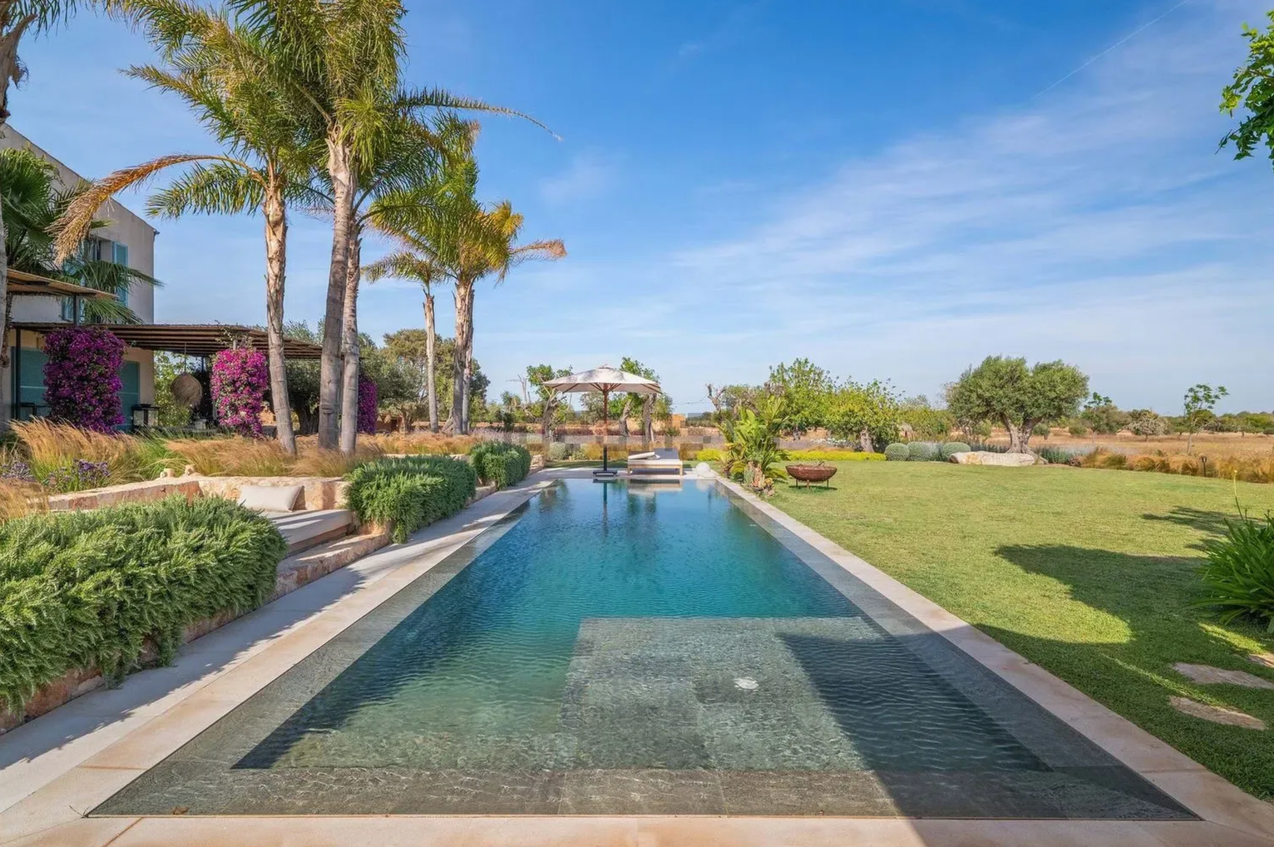 Luxury resort swimming pool surrounded by palm trees and lush landscaping against a bright blue sky.
