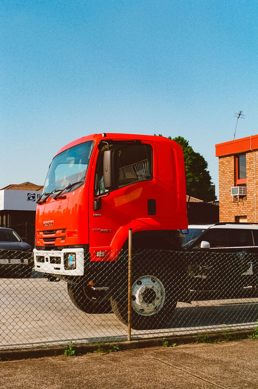 Row of red semi trucks parked behind chain link fence on sunny day.