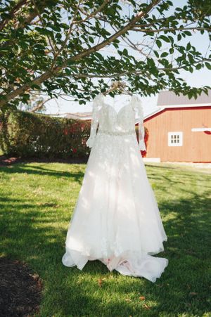 A delicate white wedding dress suspended from tree branches with a red barn in the background.