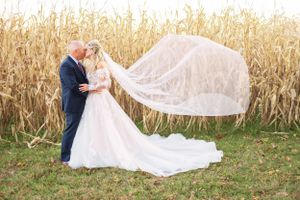 Dramatic wedding dress and veil flow in wind against golden cornfield backdrop.