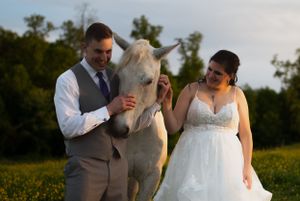 Newlyweds share a moment with a friendly white horse in a summer field.