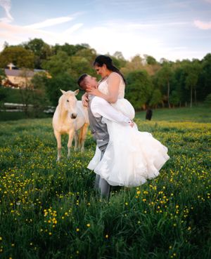 Romantic wedding portrait in a flowered meadow with a white horse in the background.