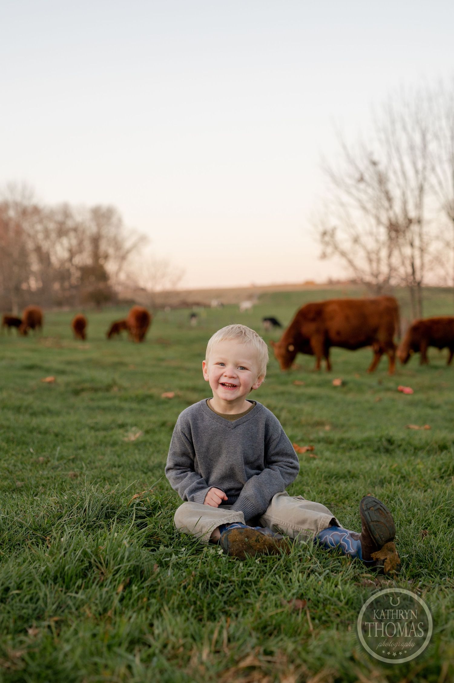 A smiling toddler sits in a grassy field with grazing Highland cattle in the background.