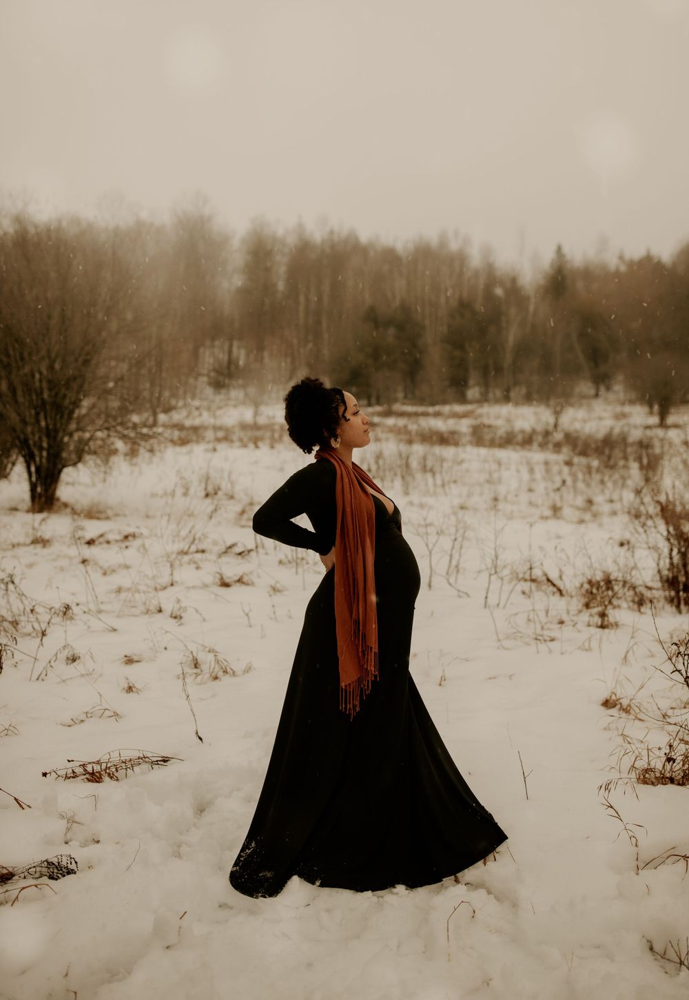 A silhouette stands gracefully in a snowy winter landscape wearing a long dress and scarf.
