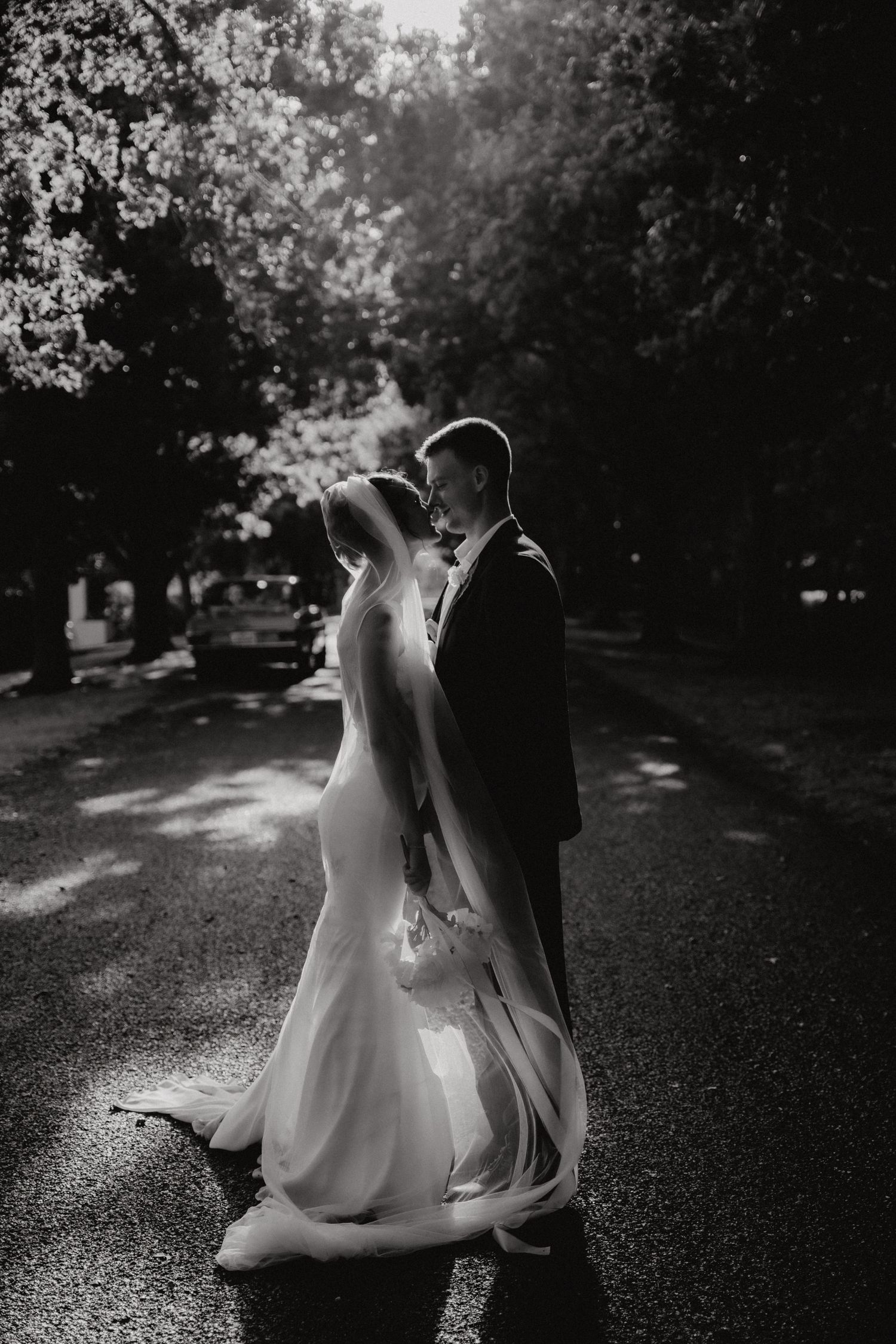 A bride and groom share an intimate moment on a tree-lined path in dramatic black and white photography.