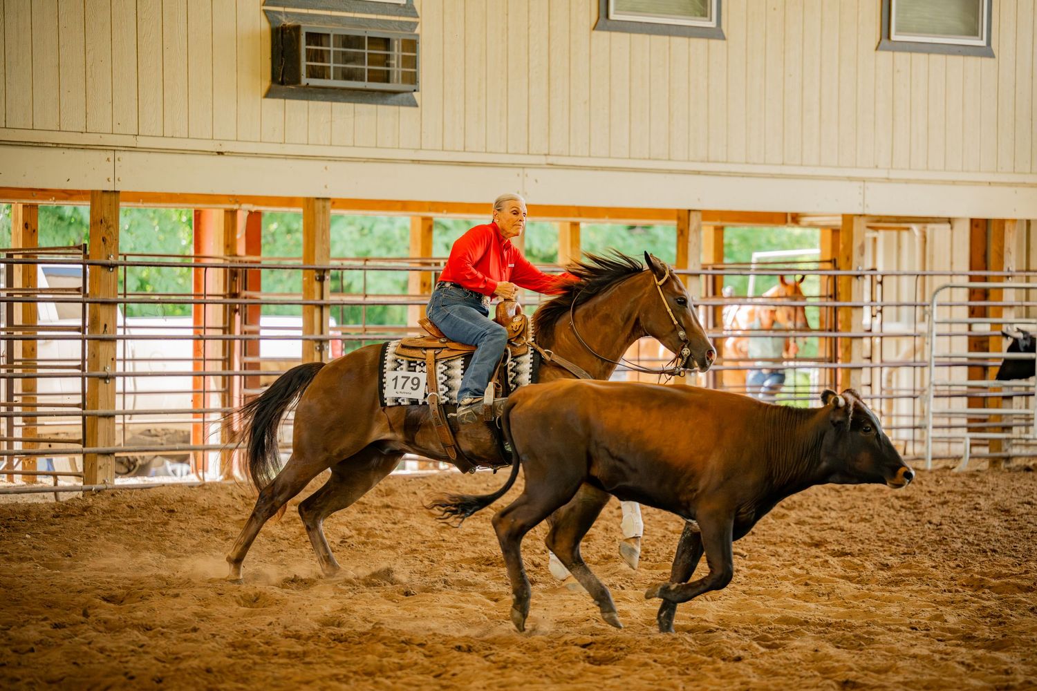 Action shot of horseback rider working with cattle in indoor arena.