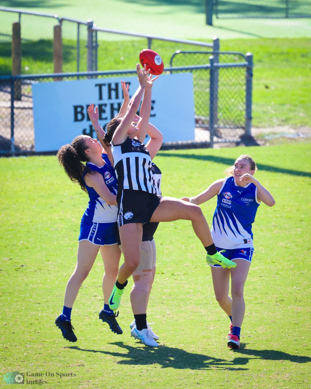 Melbourne Sports Photographer.  Ringwood East v Surrey Park.  AFL