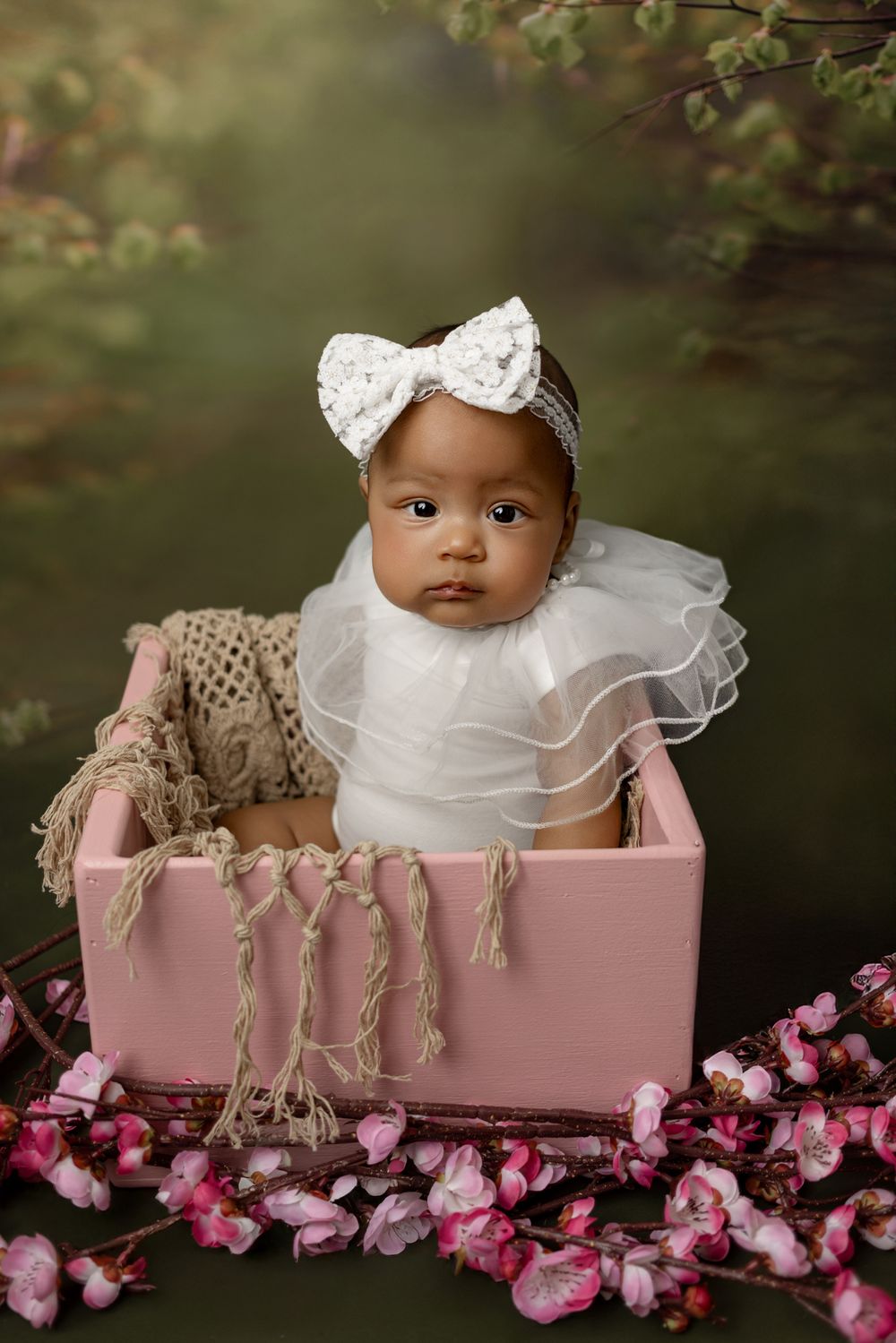 A baby in white attire and bow sits in a pink wooden box surrounded by pink cherry blossoms.