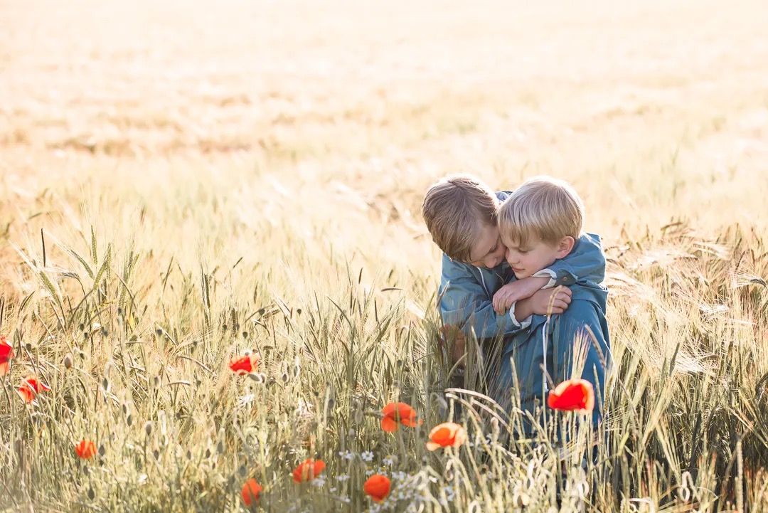 Two young children cuddling in a golden wheat field dotted with red poppies.