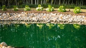 Scenic forest landscape with tall trees reflected in calm green water.