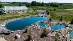 Aerial view of two bright blue swimming ponds surrounded by decorative rocks with a greenhouse in the background.
