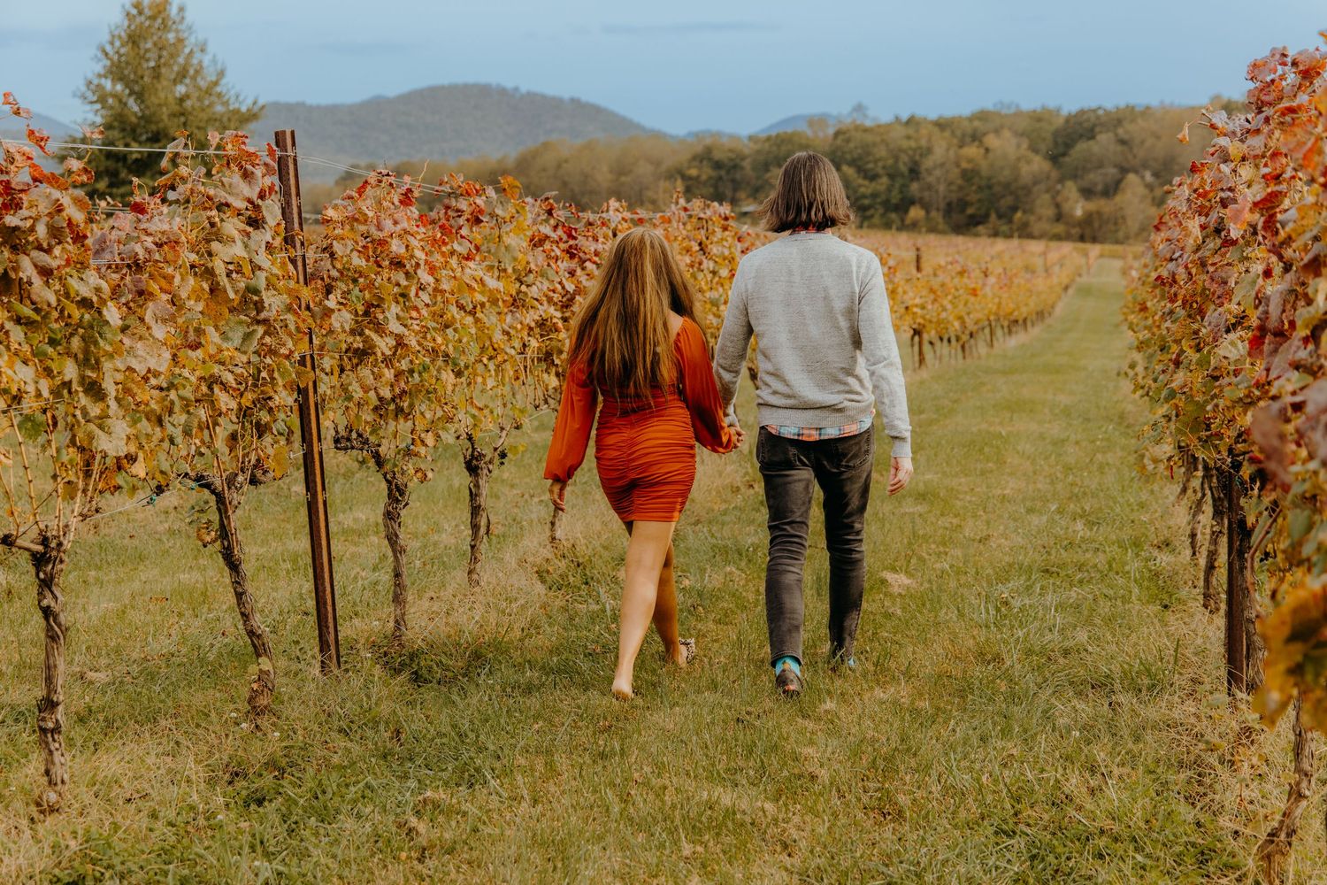 Couple walking through vineyard rows with autumn foliage and mountain views.