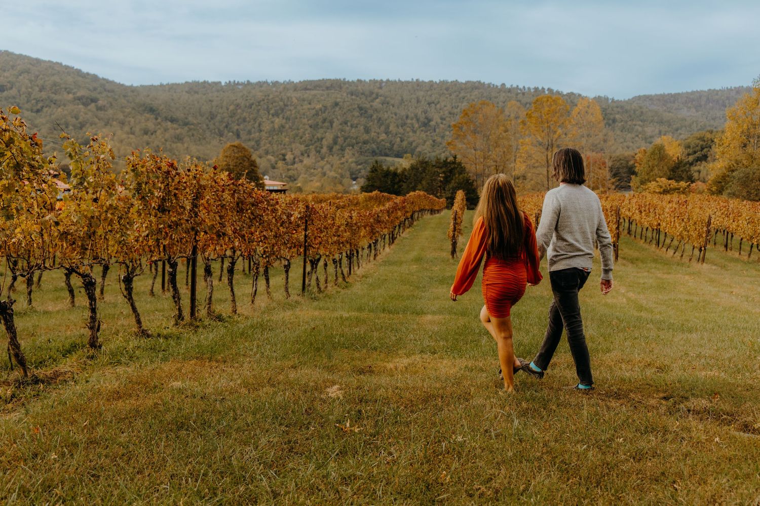 Couple strolling through vineyard rows during fall season with mountains in distance.