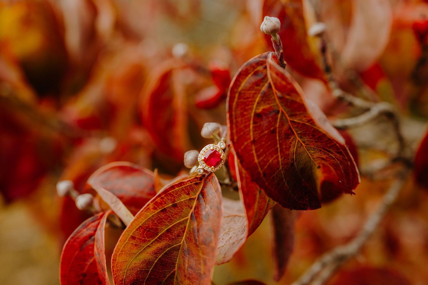 Romantic moment captured against fall foliage in warm golden light.
