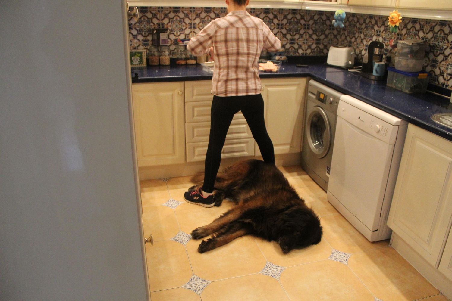Large fluffy black and tan dog lying on kitchen floor while woman stands nearby at counter.