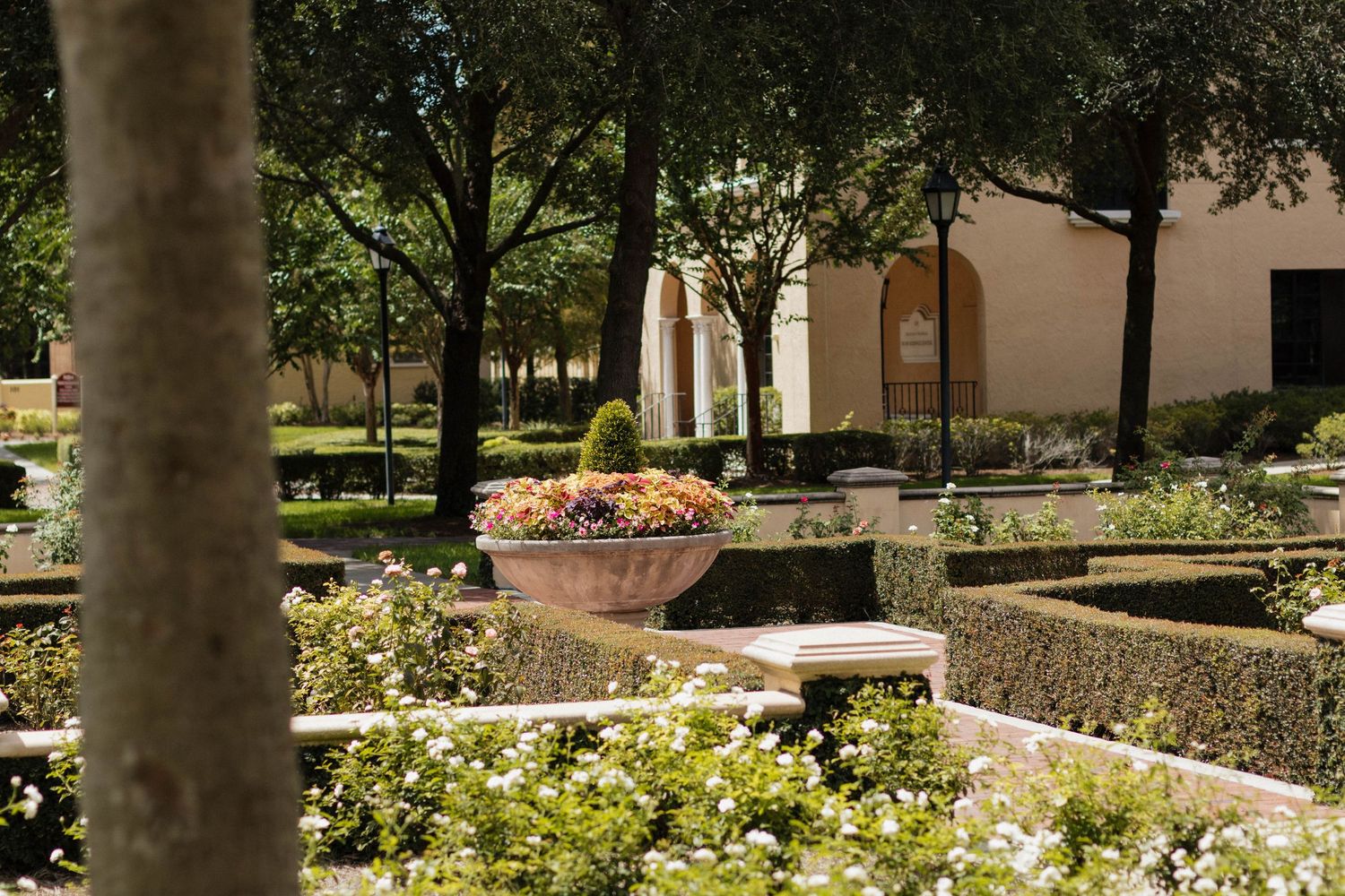 A formal garden with manicured hedges and white flowers surrounds a stone urn in a sunny courtyard.