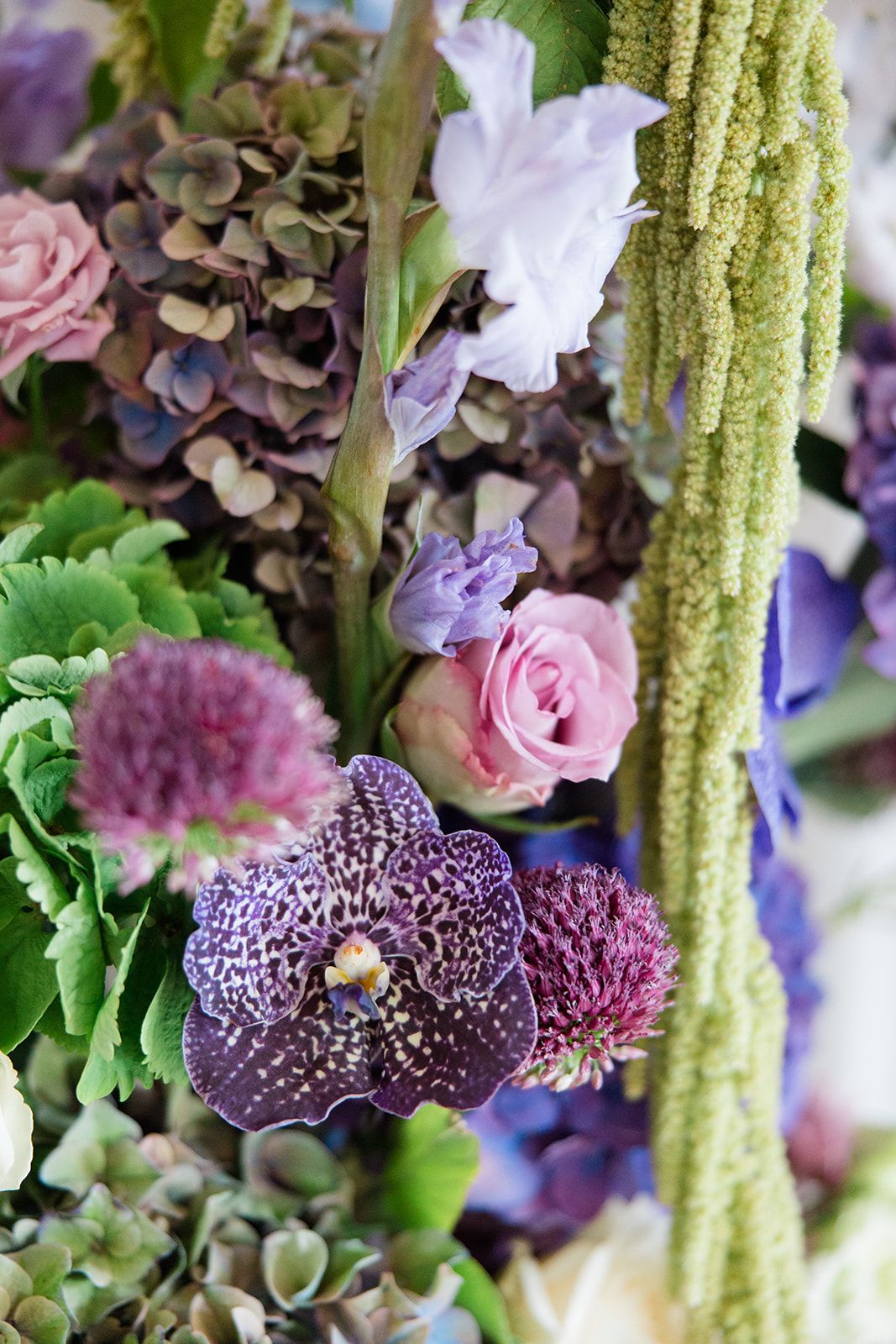 Close-up view of purple spotted vanda orchids with green foliage and pink roses in a floral arrangement.