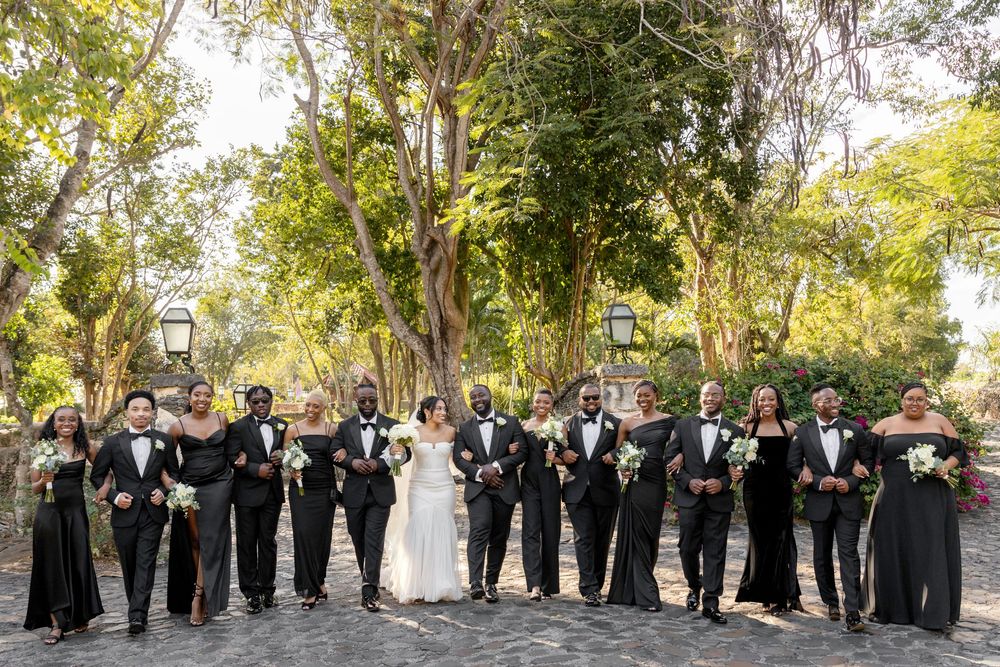 Wedding party poses together on a tree-lined path wearing formal black and white attire.