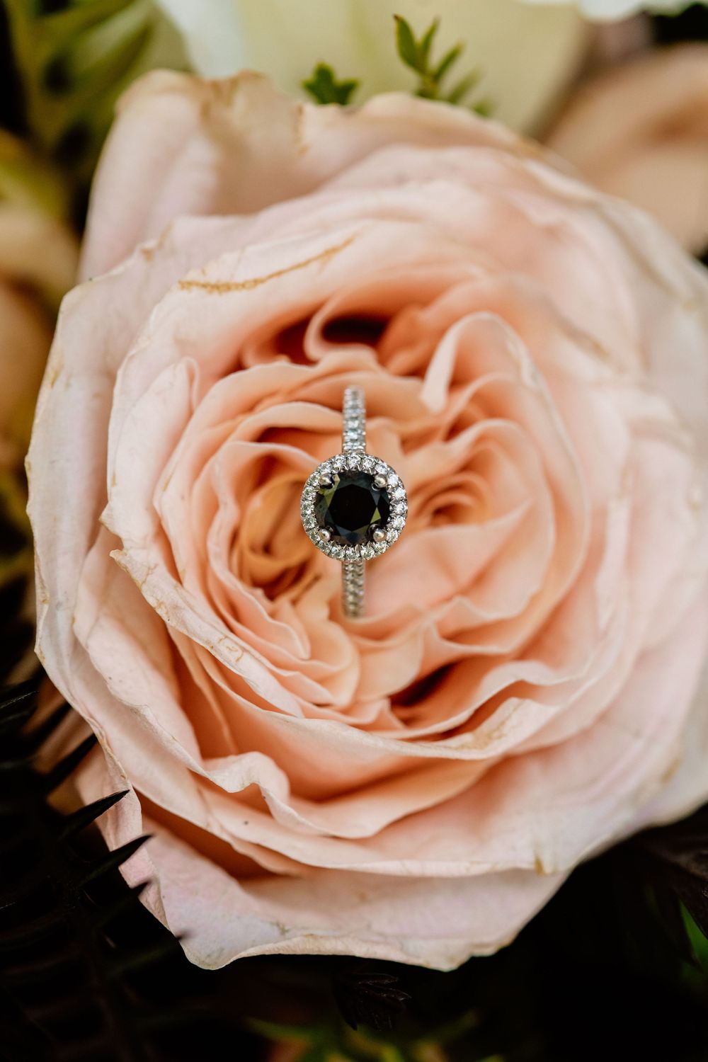 Asheville Brevard NC Hendersonville Elopement Photographer
