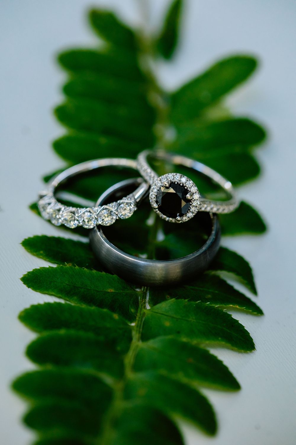 Asheville Brevard NC Hendersonville Elopement Photographer