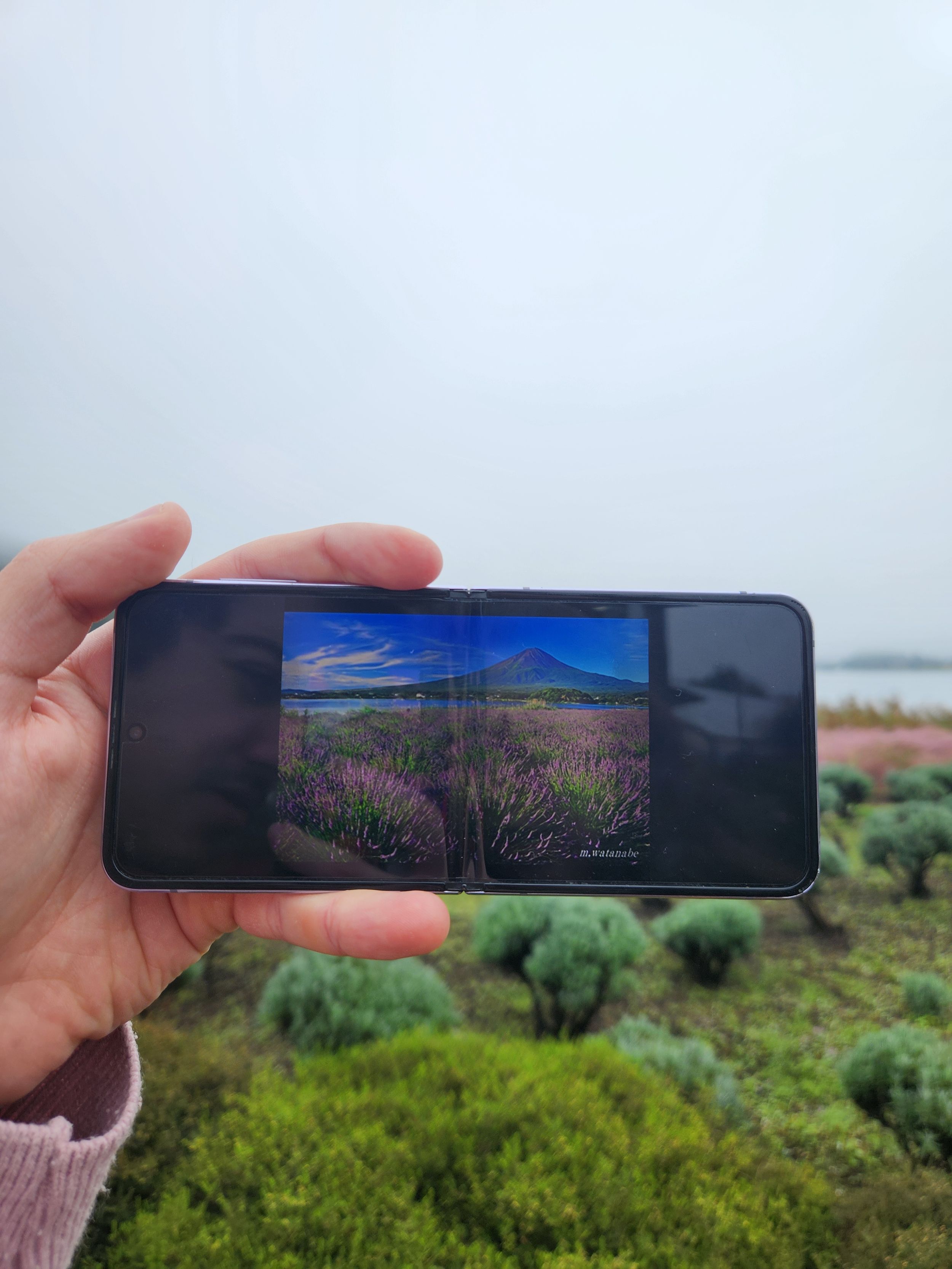 Three smartphone screens held up against a scenic mountain landscape showing panoramic nature views through their displays.