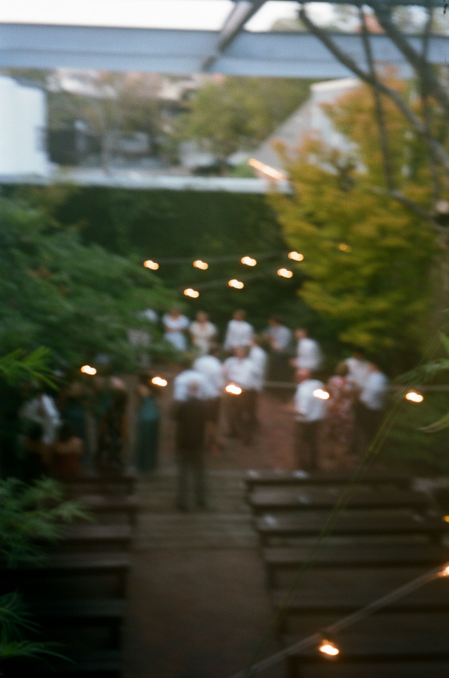 A series of blurred photos showing lights and foliage in an outdoor evening setting.