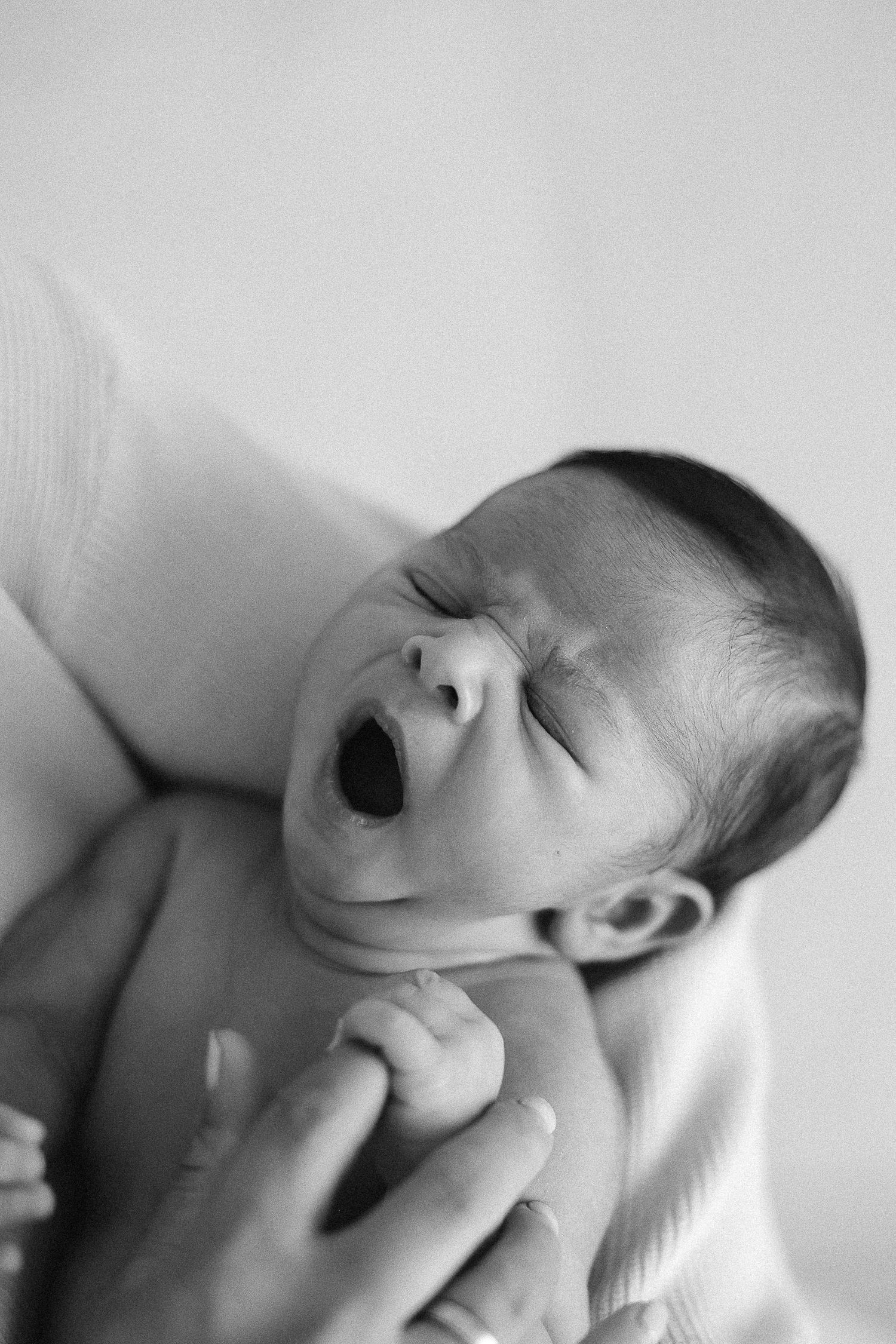 Newborn photos of baby curled up on a blanket during an Orange County session
