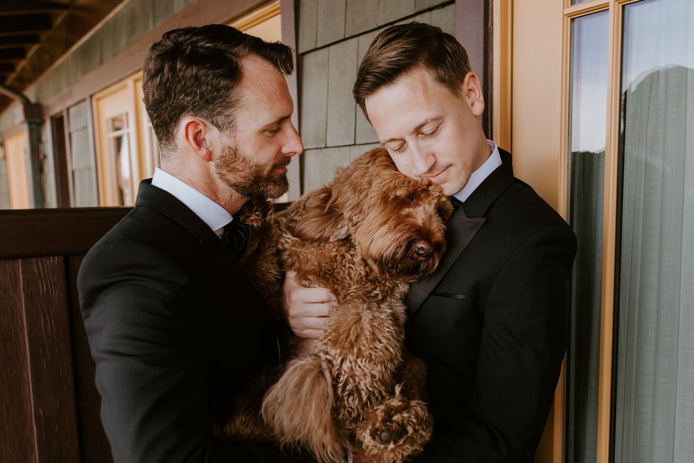 Two grooms in black tuxedos cuddling a fluffy golden doodle dog outside their wedding venue.