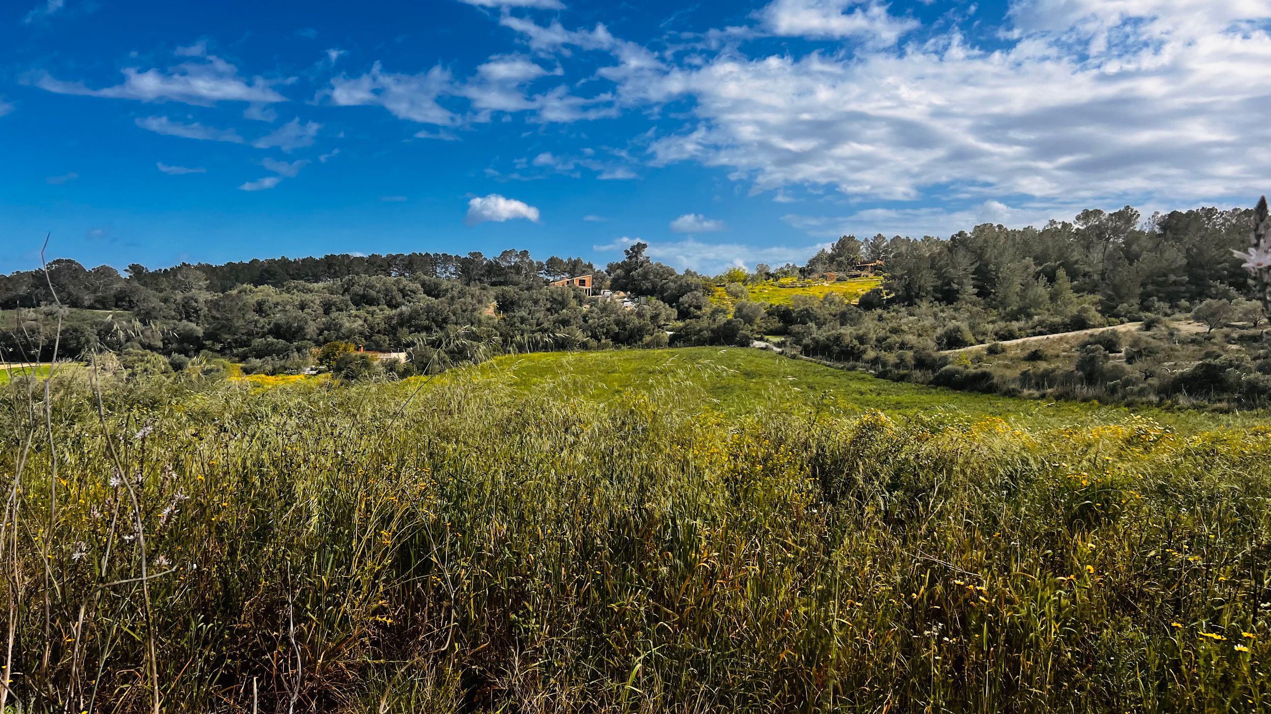A scenic rural landscape with a lush green field, rolling hills, and a blue sky with fluffy white clouds.