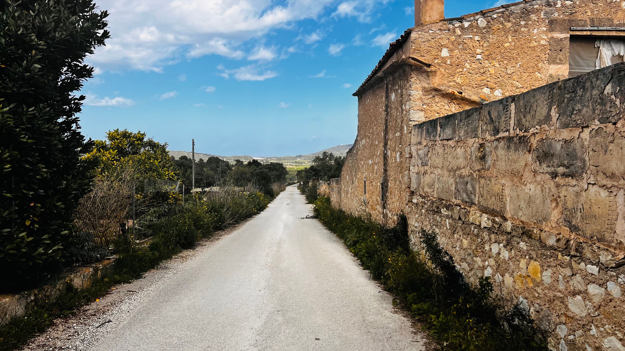 A long, winding dirt path flanked by a stone wall leading through a rural, wooded landscape under a cloudy sky.