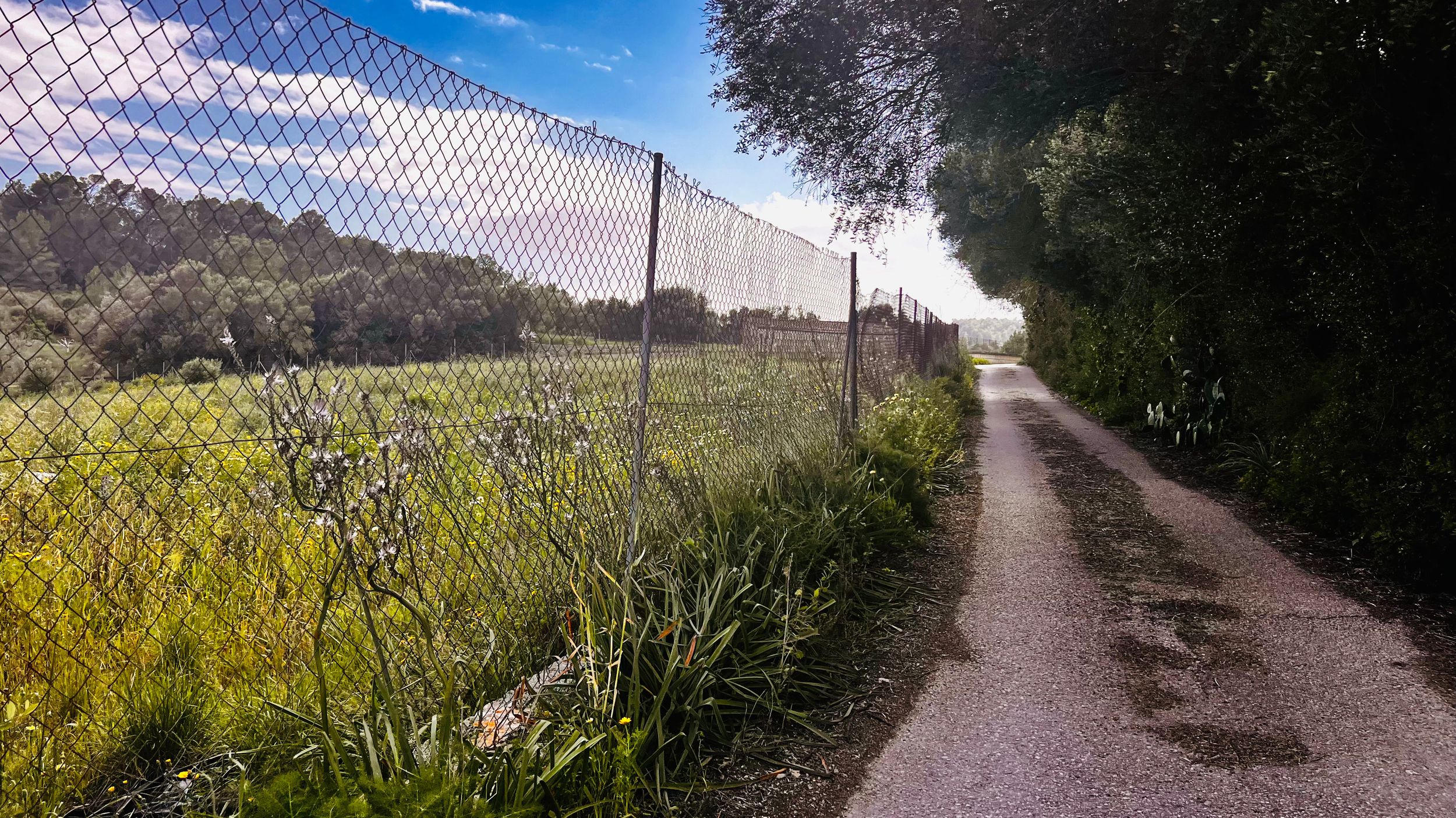 A gravel path winds through a grassy field, with a tall chain-link fence and trees lining the path.