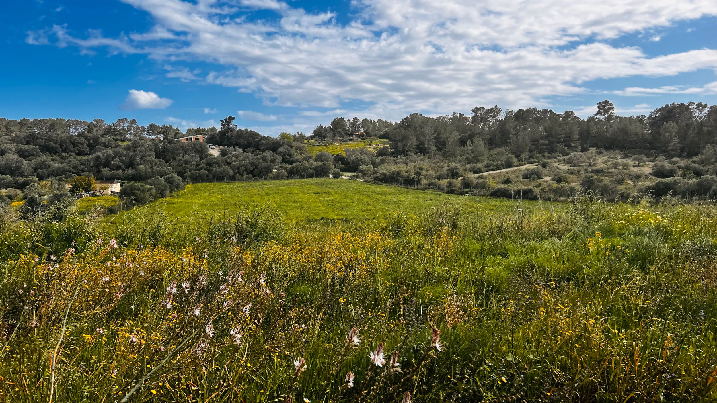 A scenic rural landscape with a grassy field, trees, and a blue sky with clouds in the background.