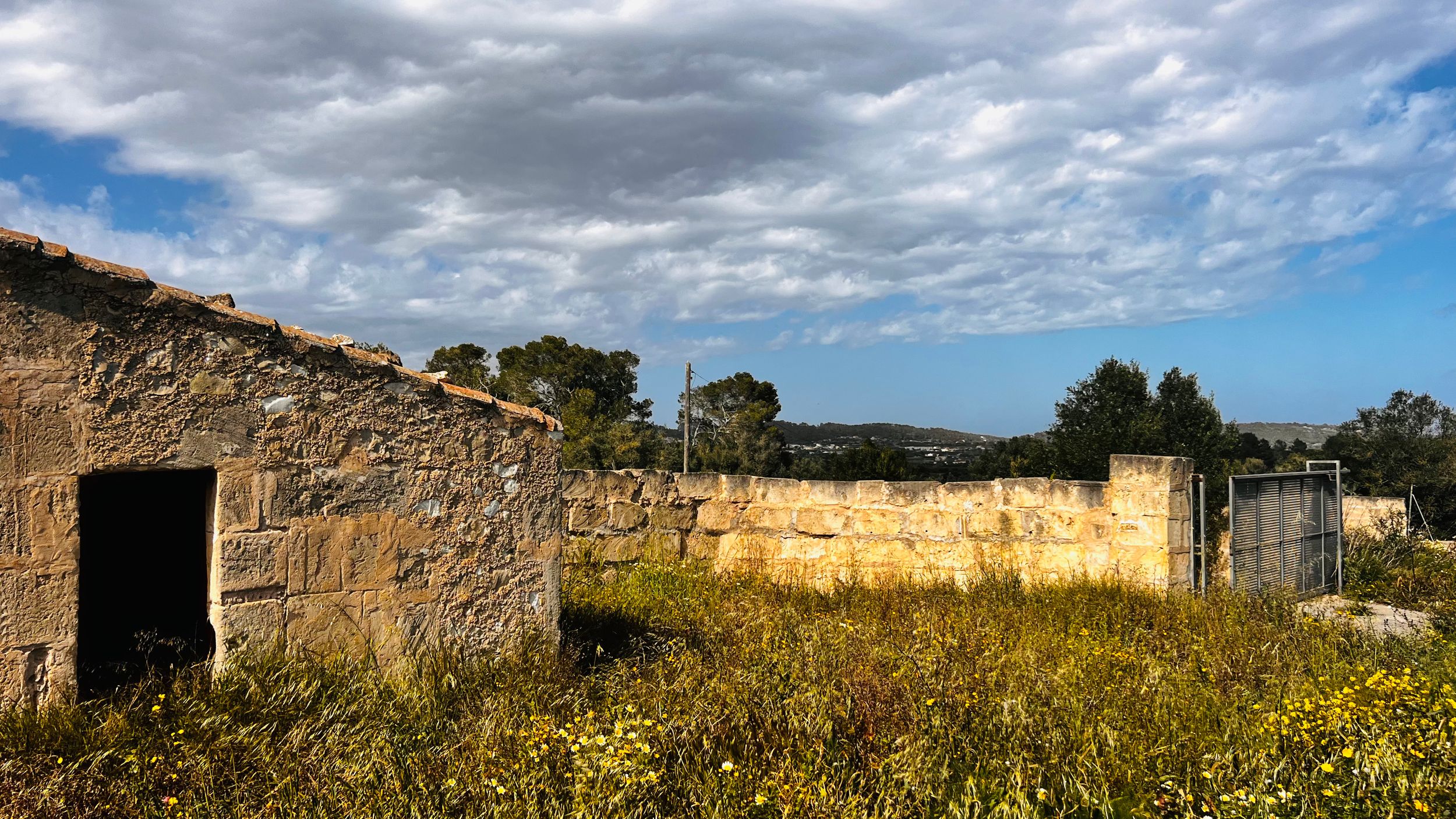 An old, dilapidated stone building with a wooden door stands amidst tall grass and trees under a cloudy sky.