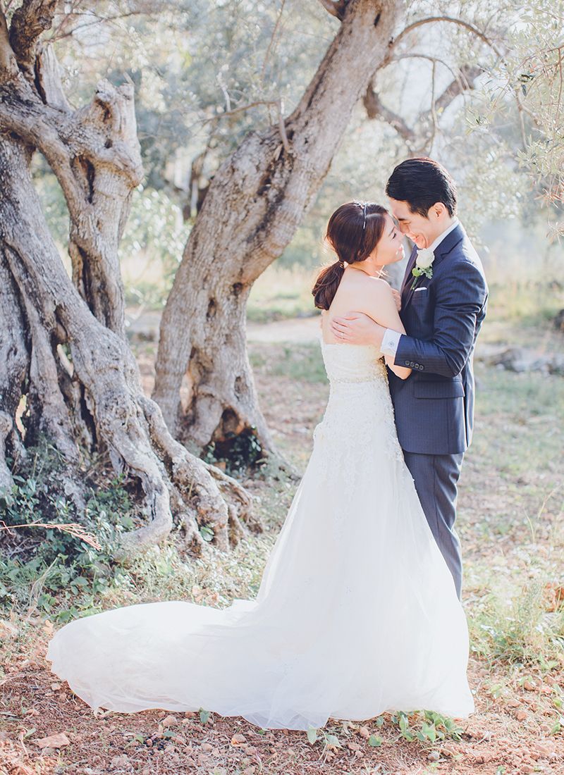 pre wedding couple portrait among olive trees mallorca countryside