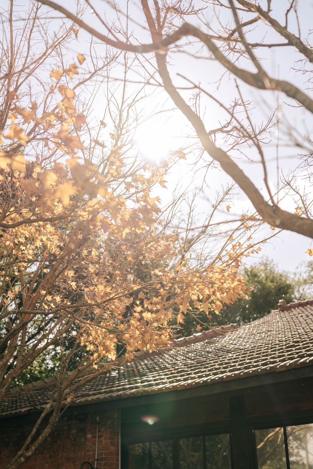 這是在台北美軍俱樂部舉辦的戶外婚禮紀錄，在紅磚建築與山景環繞的場地舉行基督教證婚儀式，由新娘親自設計婚紗並製作婚禮蛋糕，婚禮證婚的過程中天空出現彩虹，為這場充滿信仰與祝福的婚禮增添感動時刻。渴望影像以自然紀實的方式記錄新人與親友互動、誓言交換與舞蹈派對，留下溫暖而真實的婚禮回憶。