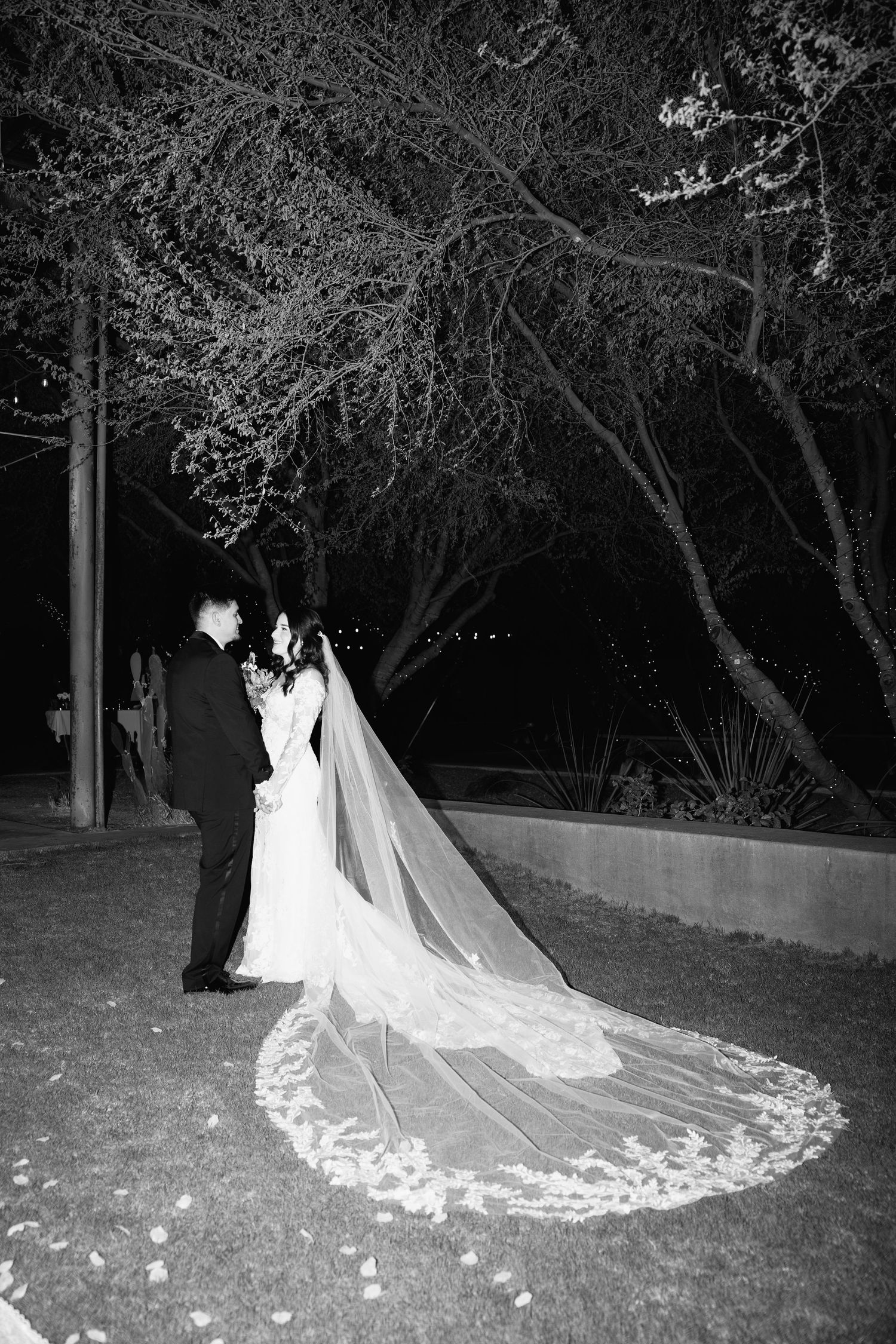A bride in a white lace gown with long cathedral veil stands under a tree in an evening garden setting.