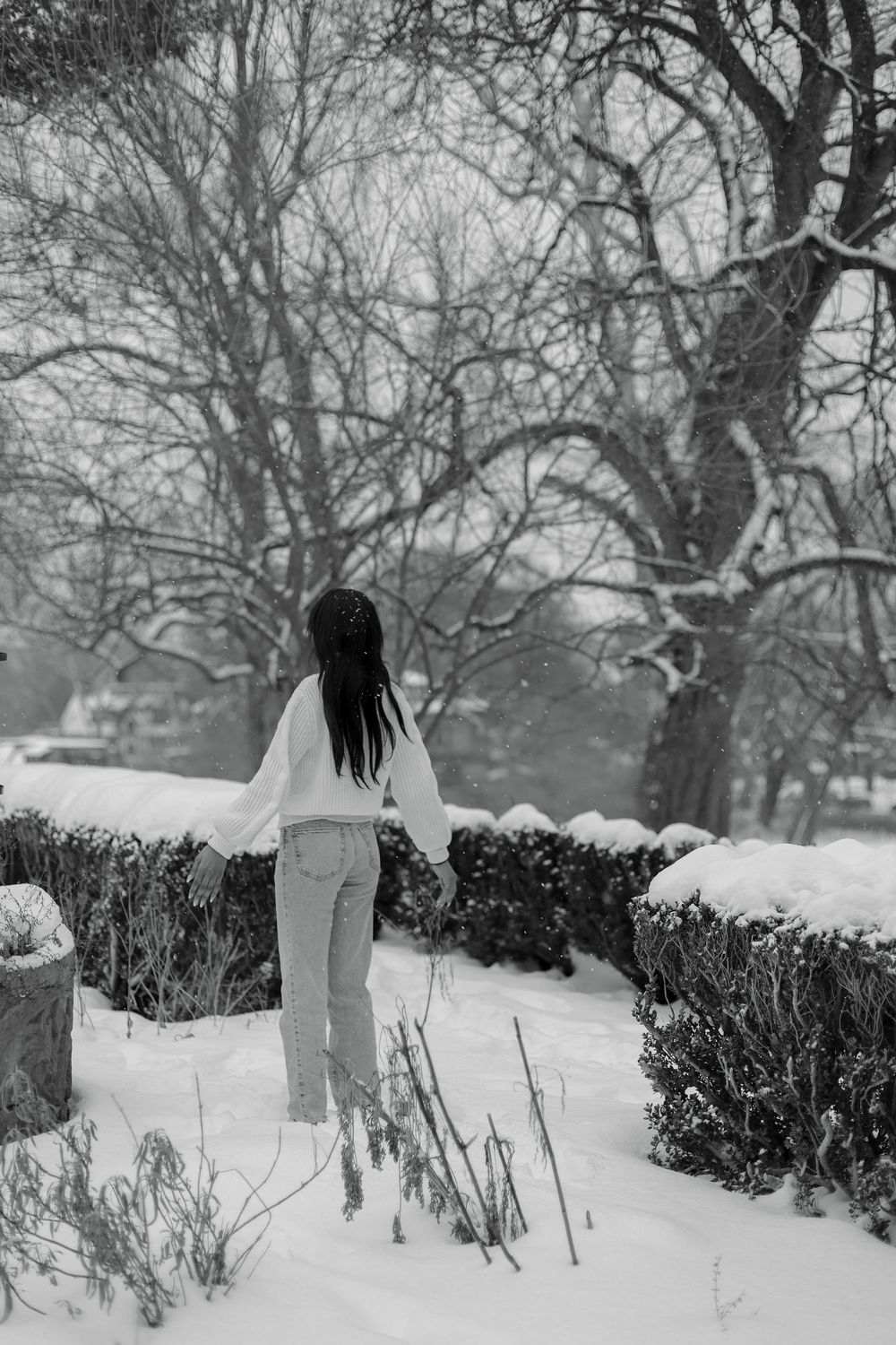 Person walks through snowy garden with bare winter trees and snow-covered bushes.