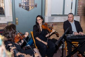 Musicians perform together in a string ensemble during a classical music concert.