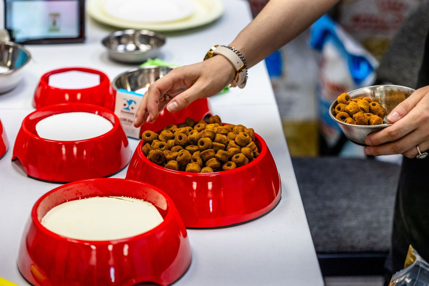 Pet food and water bowls in bright red being filled with kibble and fresh water on a gray surface.