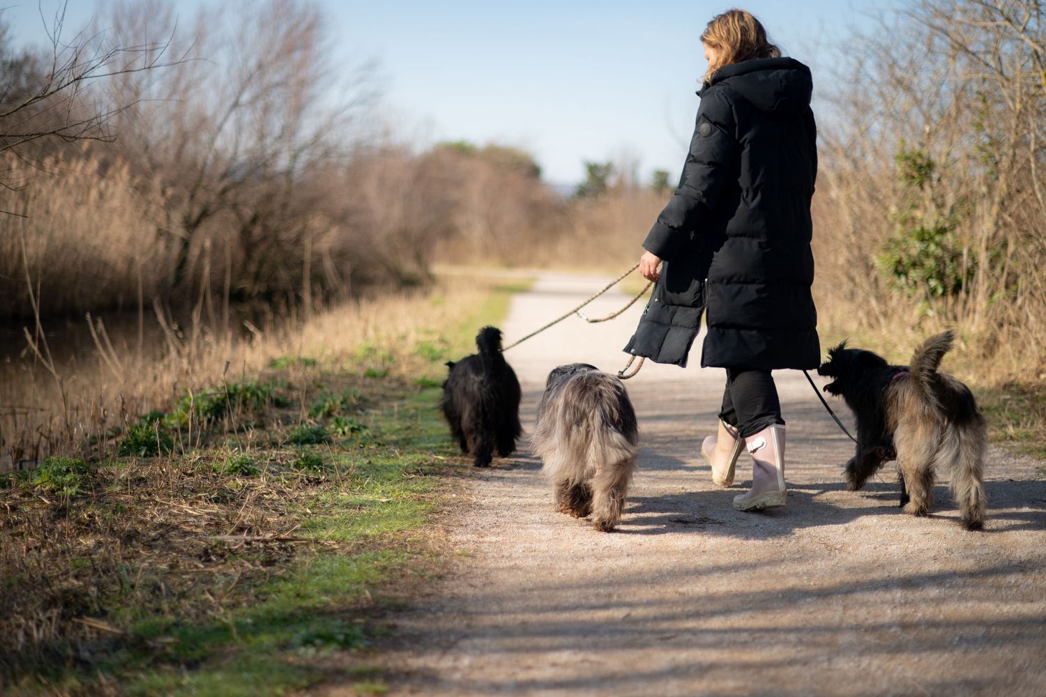 woman with her dog during a quiet photography session
