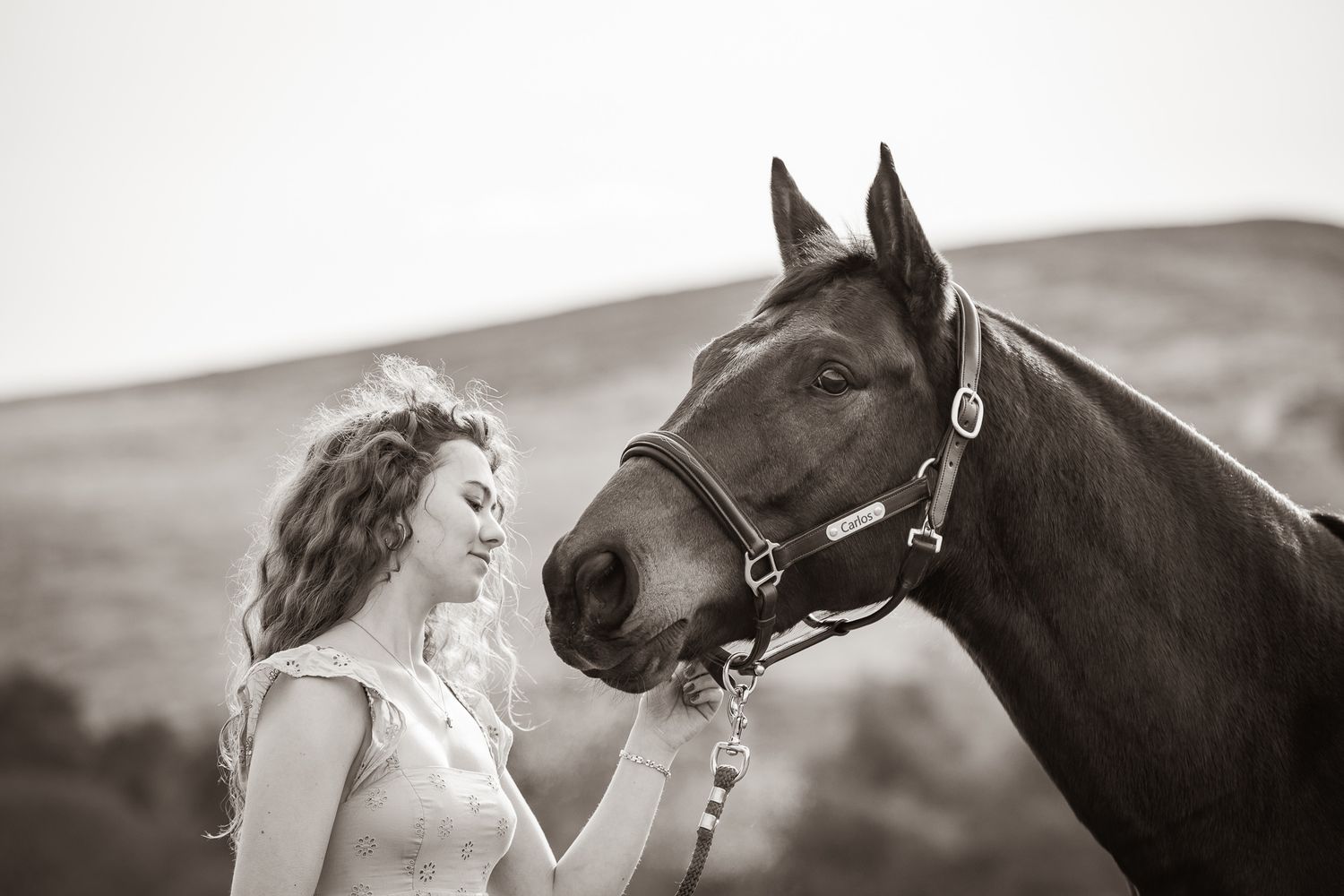 A horse and its rider enjoy an outdoor photoshoot session near rustic wooden fencing on a sunny day.