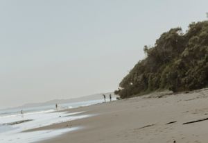Someone walks on an expansive sandy ocean beach with cliffs and trees in the distance on a cloudy day.
