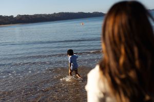 A person and dog stand at the shoreline watching waves break on a scenic beach at low tide.