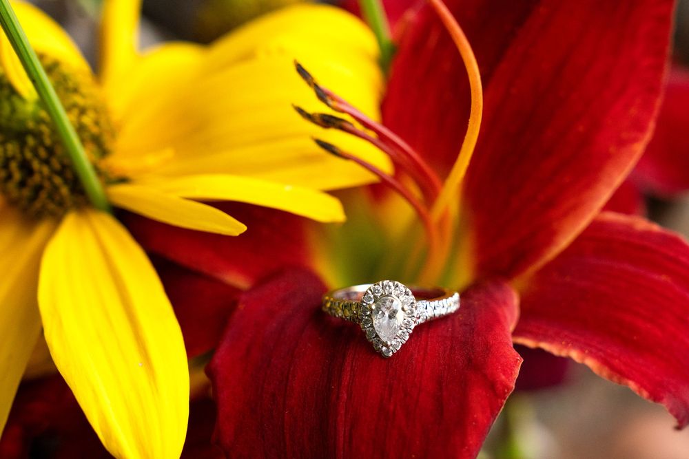 Stacy Scandrett: Niagara Wedding Photographer