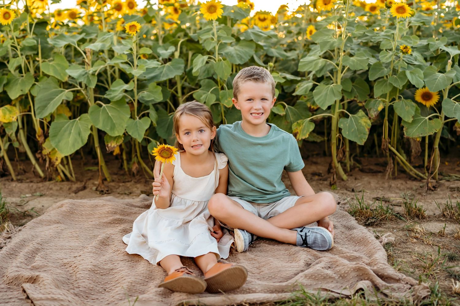 Sweet candid moments of a family sitting together against a backdrop of tall sunflowers in a field.