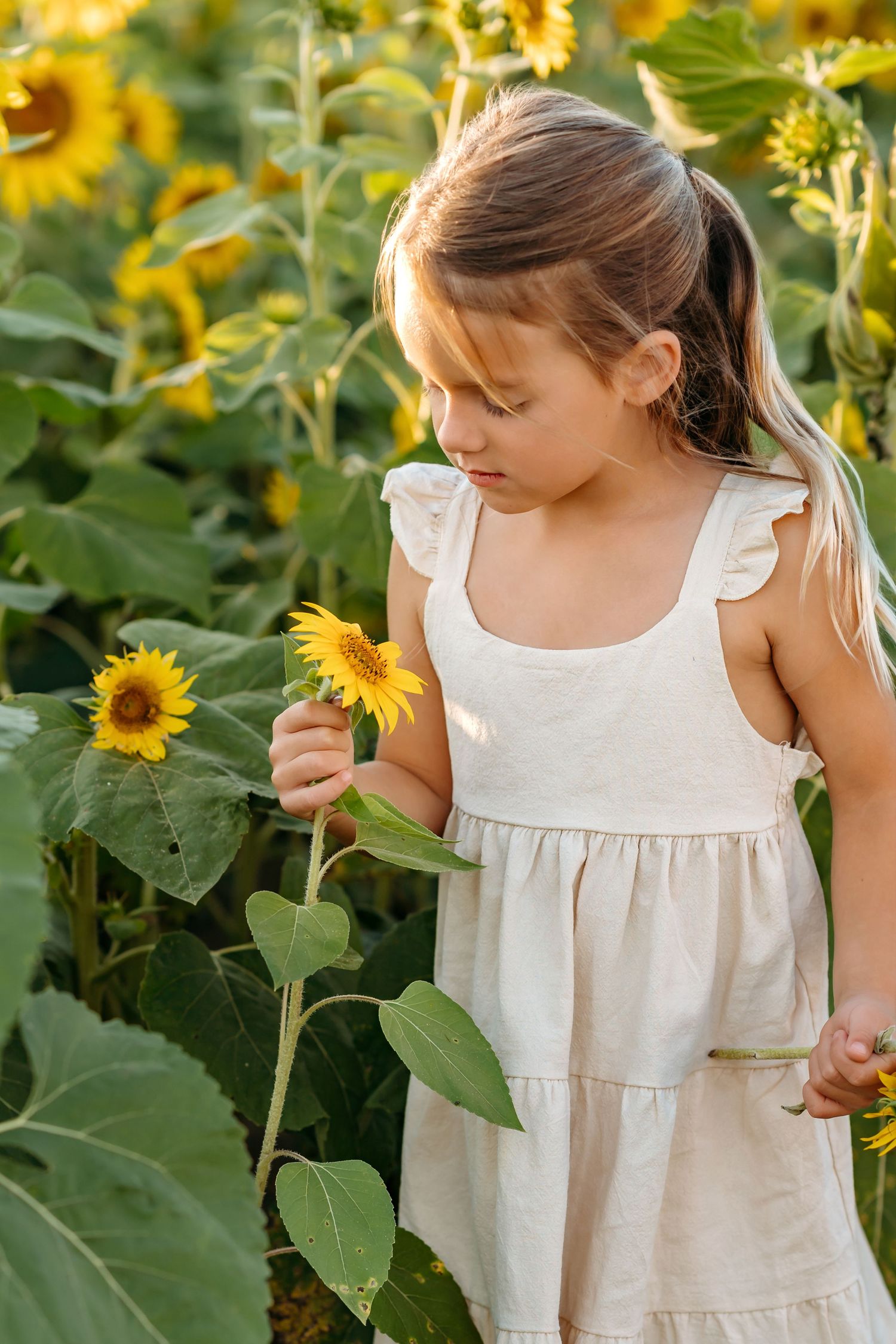 Small child in white dress exploring a vibrant sunflower field on a sunny summer day.