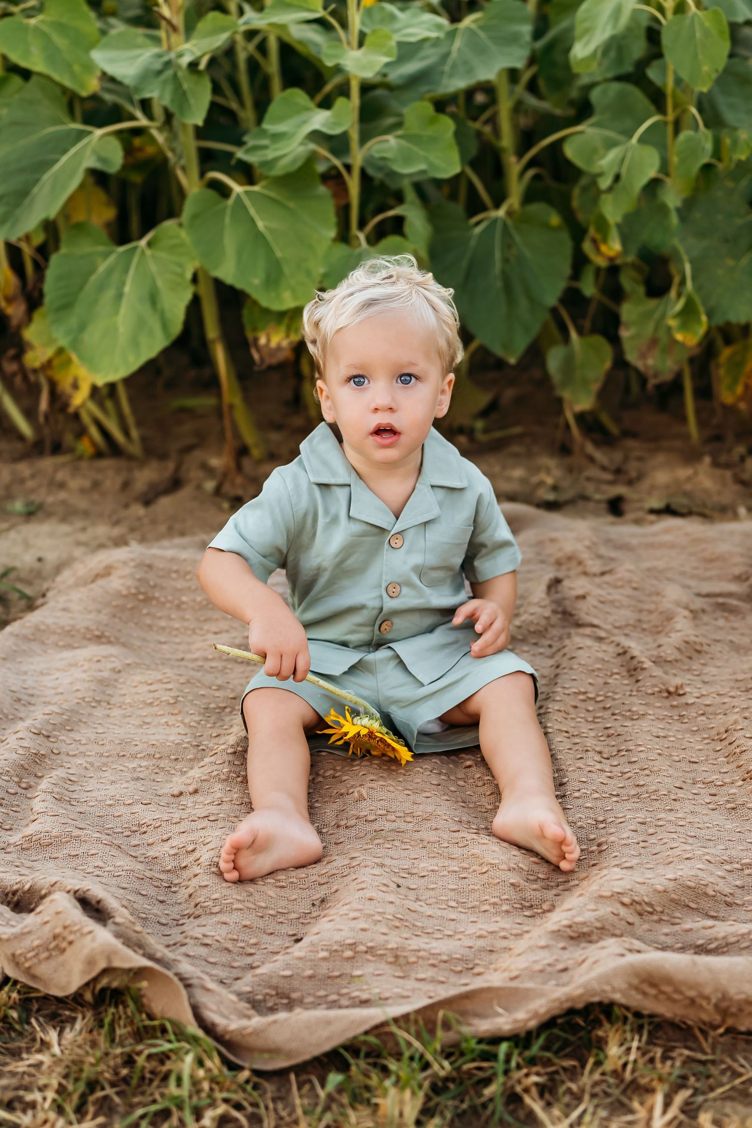 Child sitting barefoot on burlap blanket beside tall sunflower garden.