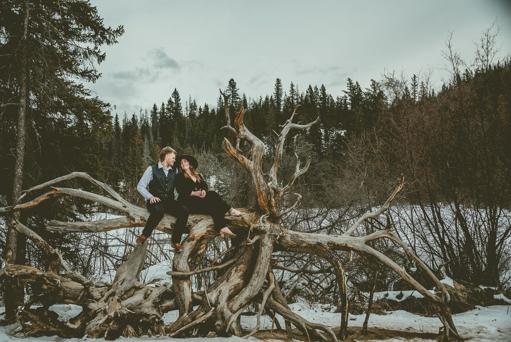 Scenic winter mountain landscape with snow-covered trees and driftwood in the foreground. Jasper Engagement Photographer