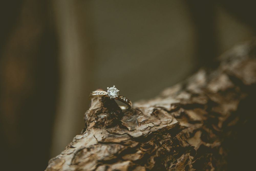 engagement ring on tree bark Jasper Engagement Photographer